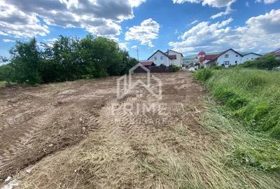 Teren de 471 mp, în Cetate - 3