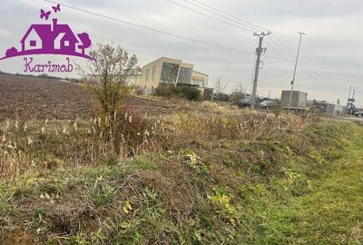Teren Construcții intravilan de 5620 mp, în Nojorid