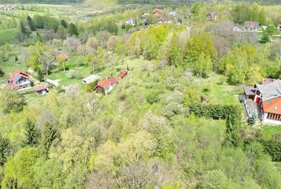 Teren intravilan Bran- Predelut - 19