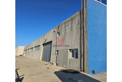 Depozit/hala/spatiu industrial Domnesti - Clinceni - Bragad - 9