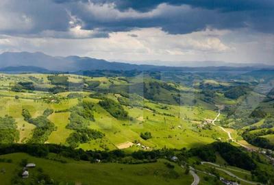 Teren extravilan, 130000 mp (13 hectare), zona turistica, Ra - 2