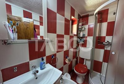 Cabana spatioasa la 5 km de Partia Sureanu complet utilata - 3