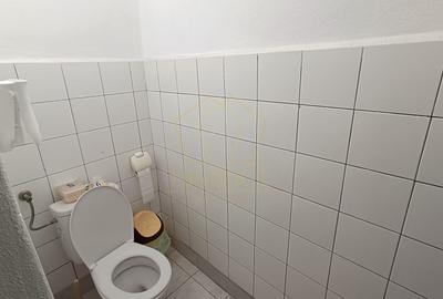 Spatiu Depozitare si Birouri | Zona Industriala Freidorf | Acces Auto/TIR - 8