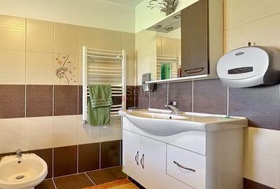 Mobilier Inclus Curte Generoasa - 12
