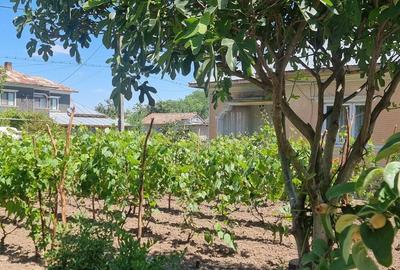 Casă cu 4 camere în Chirnogi - 2