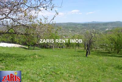 Teren Construcții intravilan de 3658 mp, în Predeal-Sărari - 2