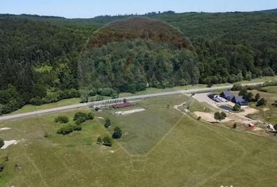 Teren de 5561 mp, în Paltin