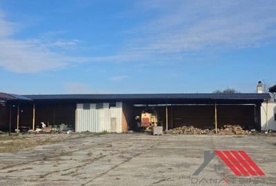 Cheveresul Mare – Platforma betonata, Hala - 4