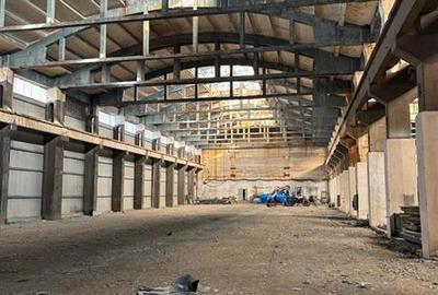 Spațiu industrial, de 17,500 mp, în Zona Liberă - 8