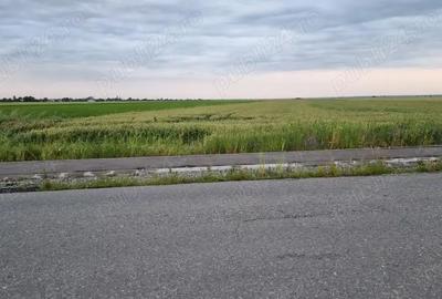 Teren de 30000 mp, în Filipeștii de Târg - 5