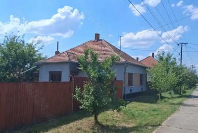 Casa de vanzare in Ungaria - 2