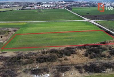 Teren de 25000 mp, în Est - 5