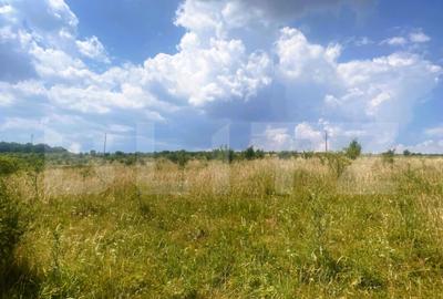 Teren construibil, 1100 mp, cu certificat de urbanism, Salic - 4