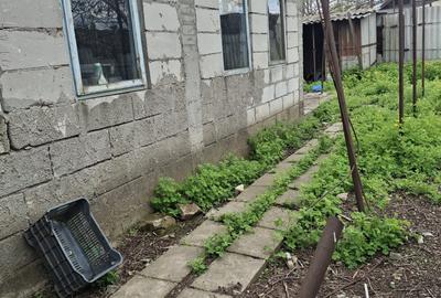 Casă cu 3 camere cu Teren 346 Mp în Brătianu - 3