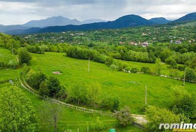 Film! Domeniu pe 11.000mp intravilan, panorama montana,Bran,Sohodol - 2