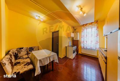Apartament cu 2 camere, mobilat în Grădiște - 3