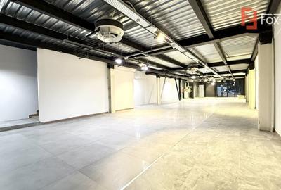 Showroom premium pe 2 nivele 560 mp, in zona Lipovei - 3