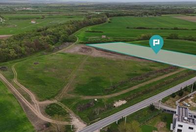 Teren intravilan 5800 mp in Remetea Mare - 3