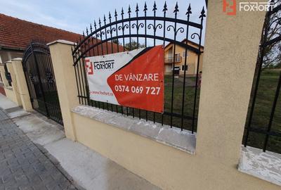 Casa cu 5 camere, 236 mp, teren 5805 mp, gaz, Brestea - Denta - 43