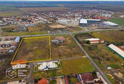 Teren de 10000 mp, în Vladimirescu - 1