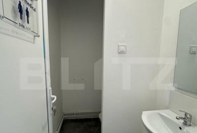 Spatiu de inchiriat, 100 mp, Ultracentral - 12