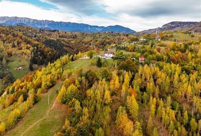 Film! Teren in peisaj mirific, Parcul Natural Piatra Craiului, Moieciu, Magura, - 2