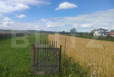 Teren de 6400 mp, în Vicovu de Sus - 1