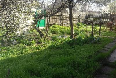 Casă cu 2 camere cu Teren 2200 Mp în Central - 3