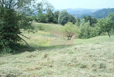 Teren extravilan de vanzare in Telega - 1