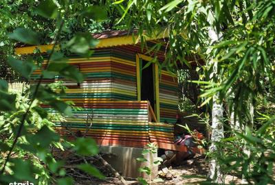 Casă cu 4 camere cu Teren 1798 Mp în Izvorani - 3