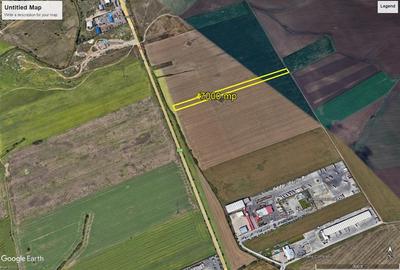 Teren agricol extravilan de 7000 mp, în Micălaca - 2