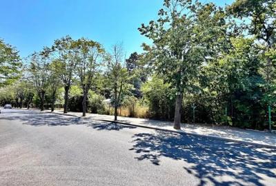 Teren de 8959 mp, în Eforie - 3