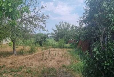 Teren de 3600 mp, în Plosca - 6