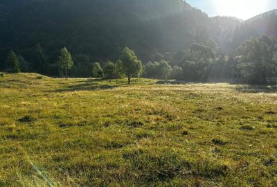 Teren Construcții intravilan de 1900 mp, în Sătic - 8