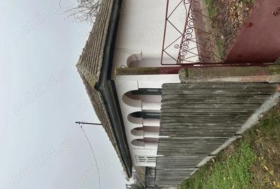 Casa de vanzare sat Mihai Viteazu Calara?i - 3