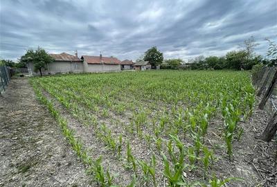 ?nzare Casa batraneasca 1700mp teren La 50km de Bucuresti Cosereni Ialomita - 7