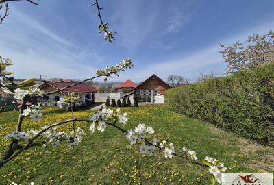 Casă cu 4 camere cu Teren 1439 Mp în Central - 13