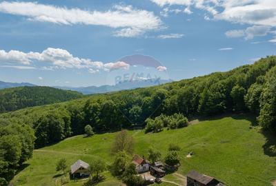 Teren de vanzare - Colonia 1 Mai, 5.310 mp, ideal pentru investitie - 4