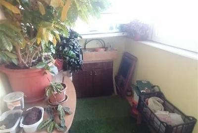 3 CAMERE, DECOMANDAT, LANGA SALA OLIMPIA! - 13