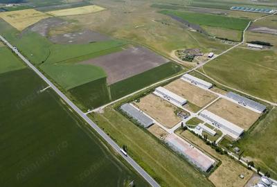 Teren Intravilan Investi?ii 11.600 mp Salonta - 9