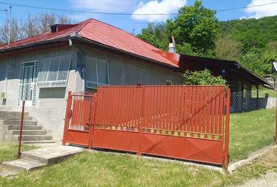 Casă cu 4 camere cu Teren 1200 Mp în Posești - 1