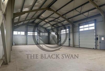 Hala industriala de inchiriat | 300 mp | Bariera Bucov | ... - 9