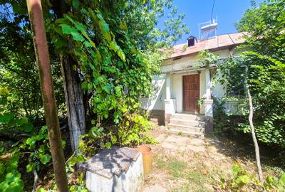 Casa , teren intravilan Urlueni Barla Arges - 6