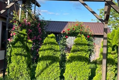 Prahova Casa, 5 camere, constructie 2022, teren 1000mp, Mehedinta - 4