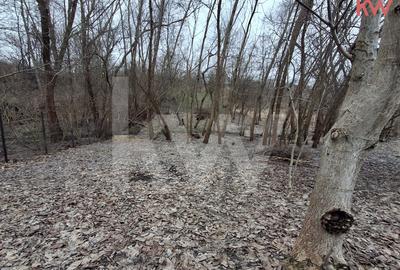 Teren Construcții intravilan de 2117 mp, în Malu Mare - 4