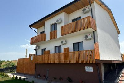 COMPLEX TURISTIC - oras Isaccea, judetul Tulcea, trecere bac - 2