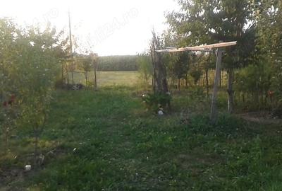 Casă cu 2 camere în Cătunu - 3