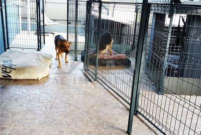 Casă cu 3 camere cu Teren 400 Mp în Tomești - 12