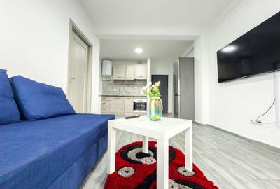 Apartament cu 2 camere semidecomandat, mobilat în Agigea - 8