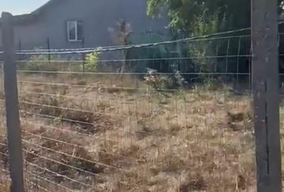 Spațiu comercial, în Agigea - 2